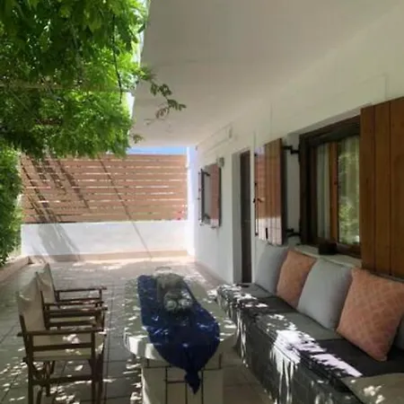 Traditional Olive House *
