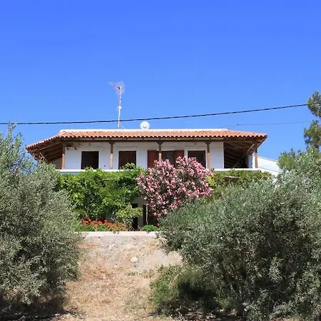 Traditional Olive House * Makrýgialos
