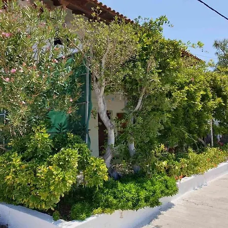 Traditional Olive House דירה